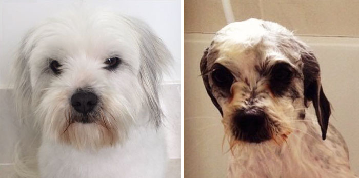 Before Vs. After Bath
