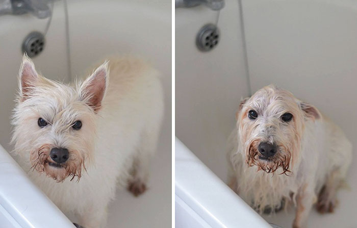 Before Vs. After Bath