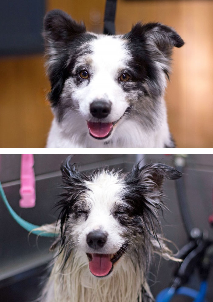 Before Vs. After Bath