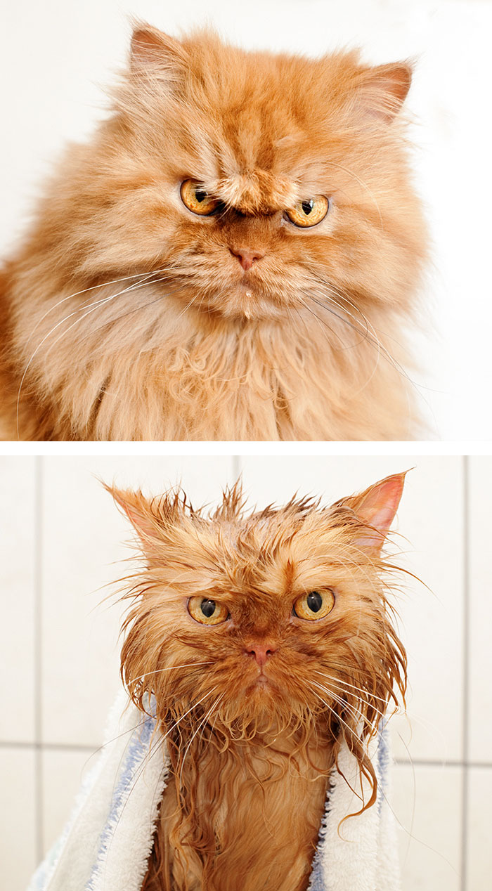 Before Vs. After Bath