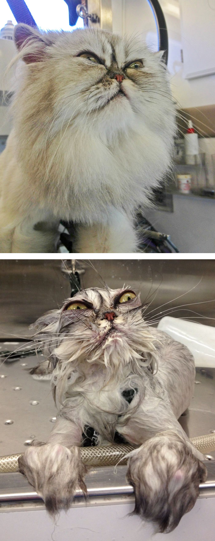 Before Vs. After Bath