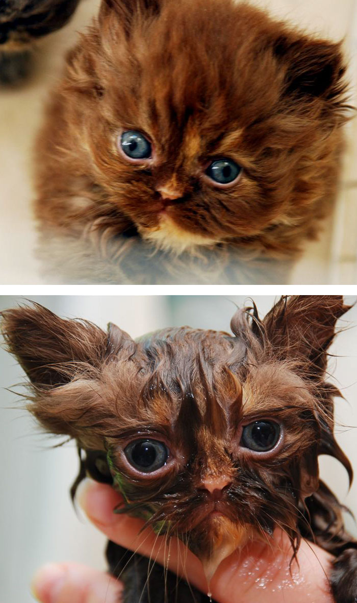 Before Vs. After Bath