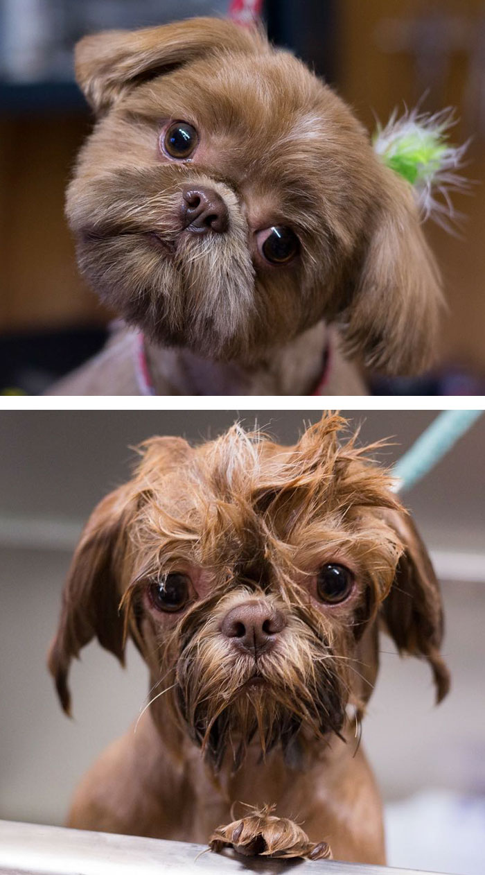 Before Vs. After Bath