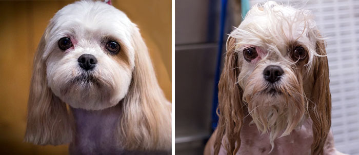 Before Vs. After Bath