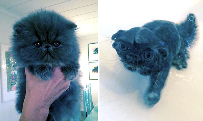 Before Vs. After Bath