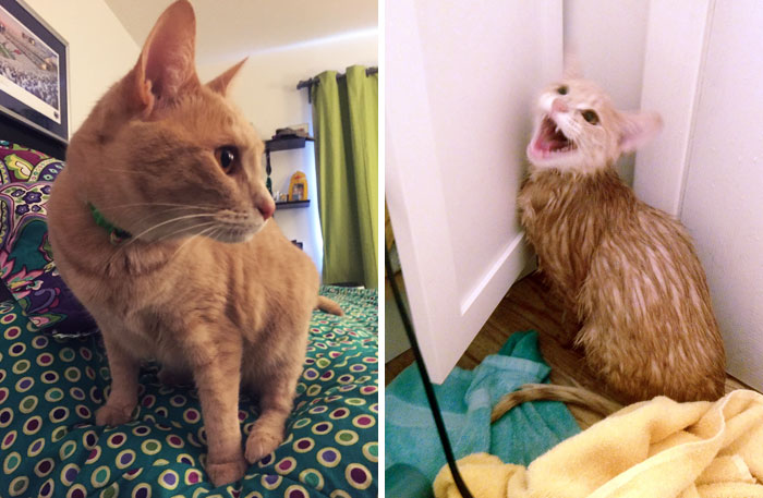 Before Vs. After Bath