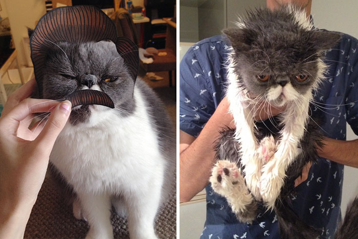 Before Vs. After Bath