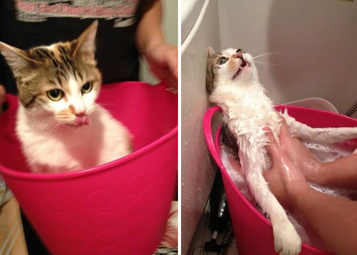 Before Vs. After Bath