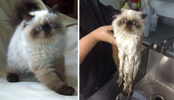 Before Vs. After Bath