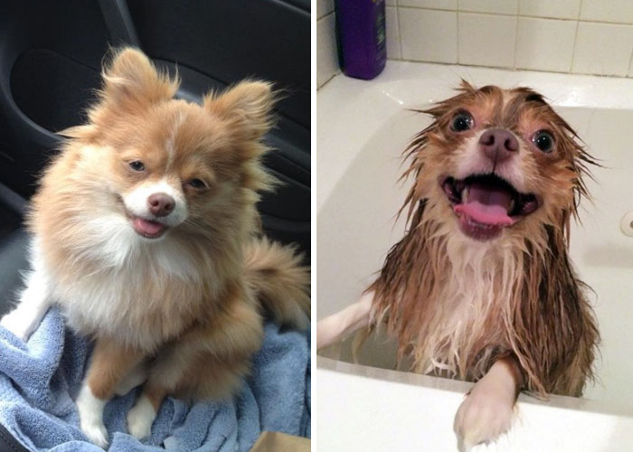 Before Vs. After Bath