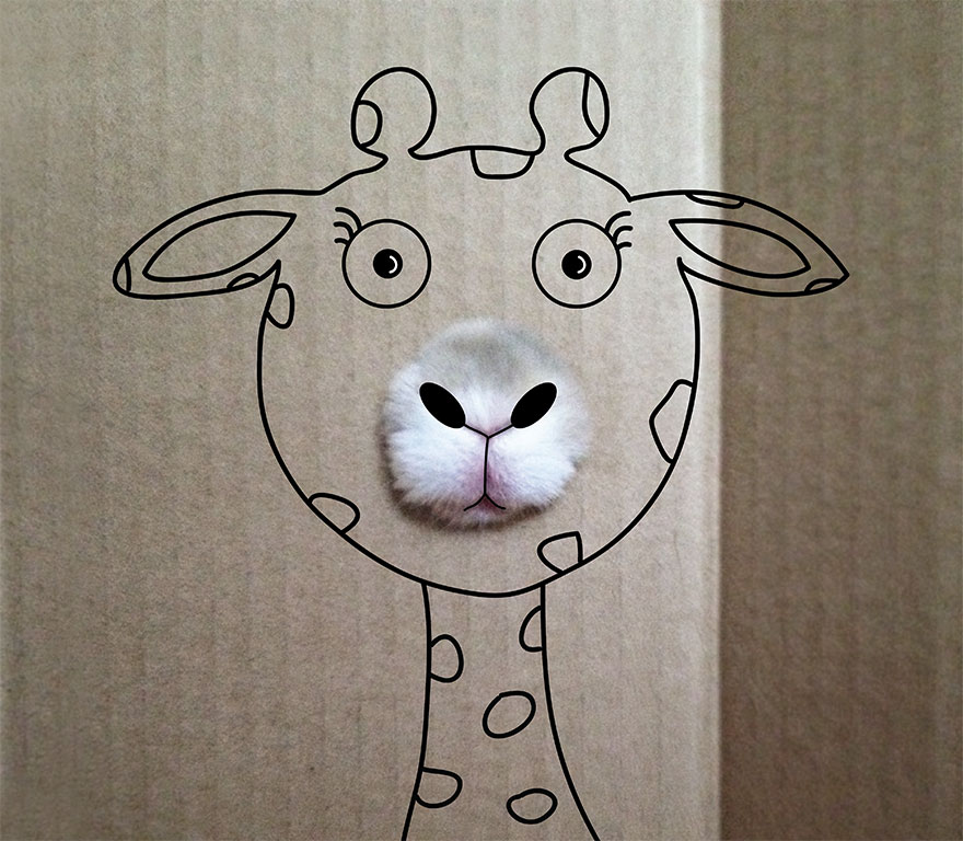 It's A Fluffy Giraffe!