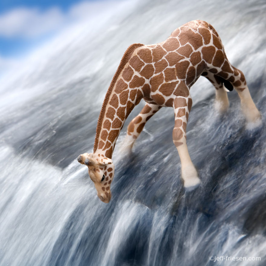 I Made These Photos To Raise Awareness About Human Threats To Wildlife I Made These Photos To Raise Awareness About Human Threats To Wildlife