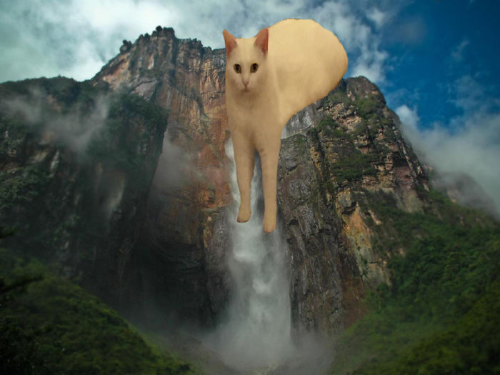 Just Go With The Floww