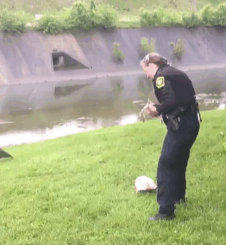 goose-asks-help-police-1 goose-asks-help-police-1
