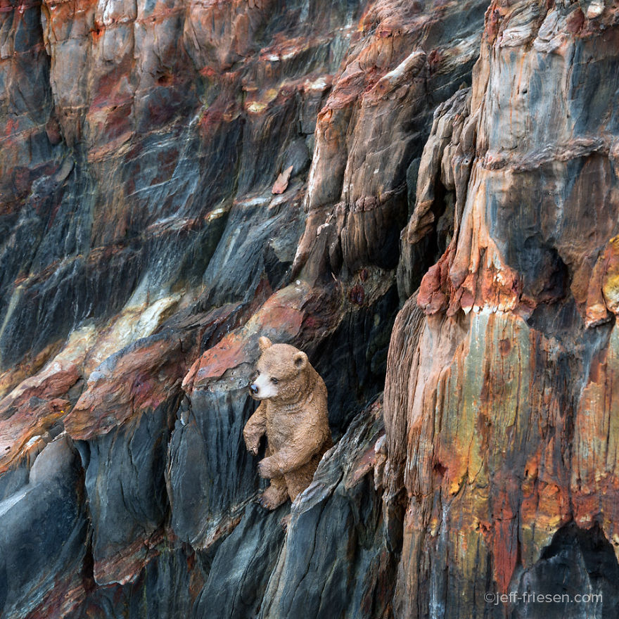 I Made These Photos To Raise Awareness About Human Threats To Wildlife I Made These Photos To Raise Awareness About Human Threats To Wildlife