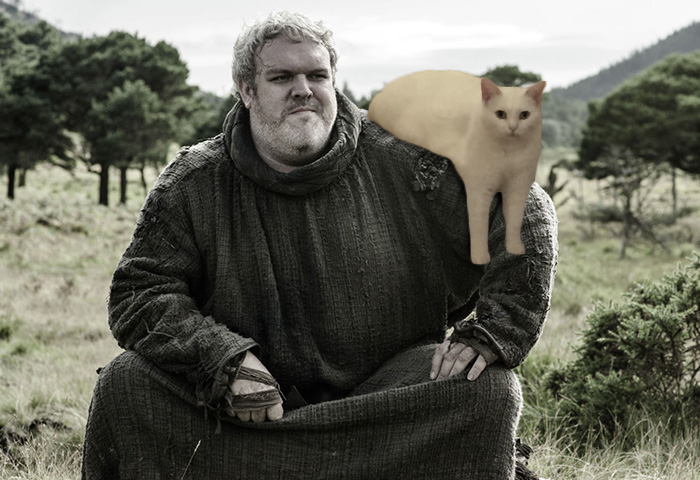 Hodor Left The Kid, Took The Cat Instead