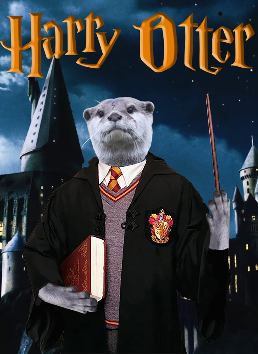 Harry Otter