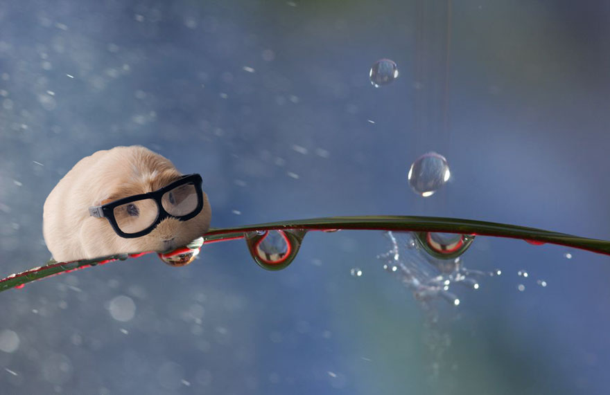 She Is Clearly A Caterpillar!