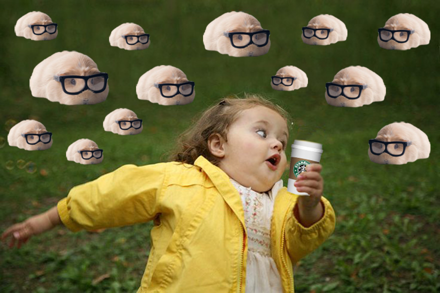 A Gang Of Starbucks Lovers