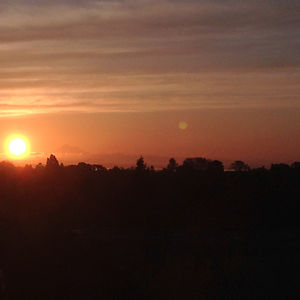 cristinamartin avatar