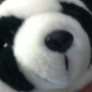 shadowwarrior1093 avatar