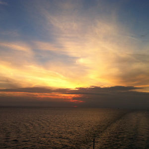 seriouslyconfused avatar