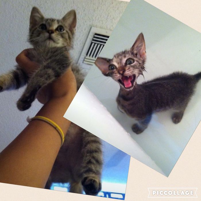 Before Vs. After Bath