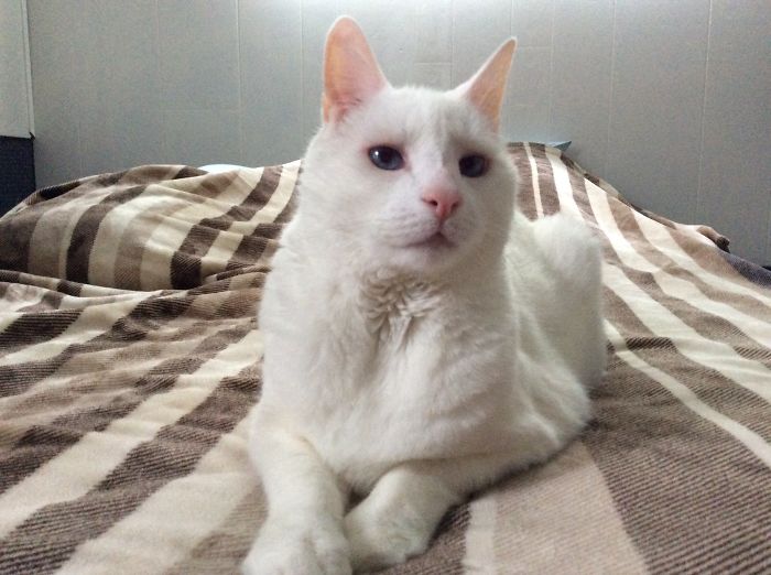 Littlin Dew - Before Skunking