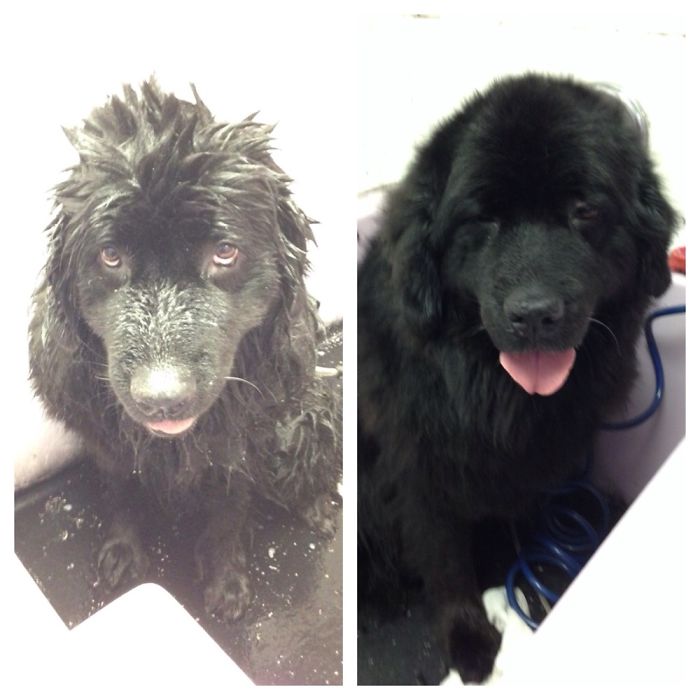 Before Vs. After Bath