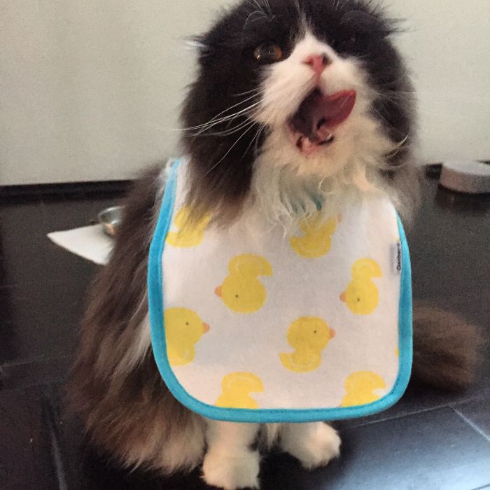 There's Dessert, Right?