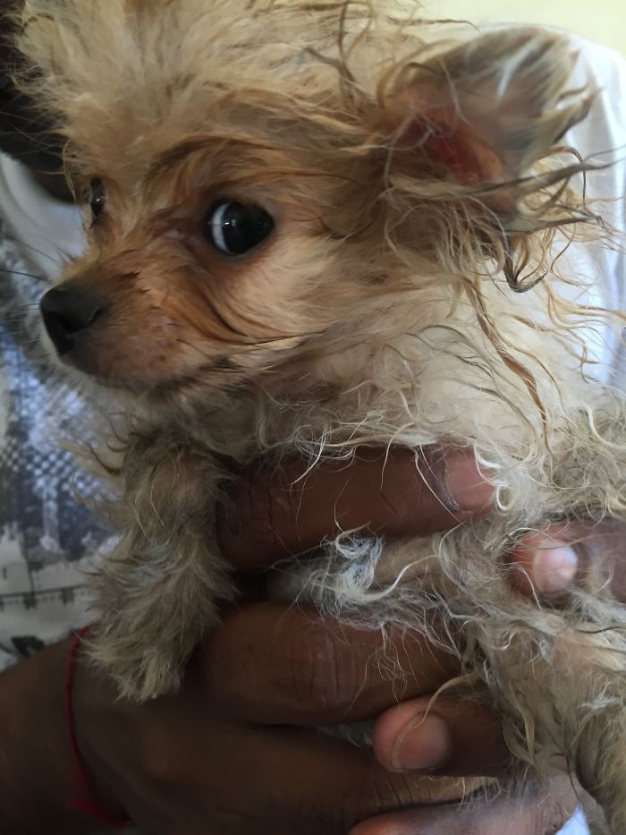 Before And After Bath Images