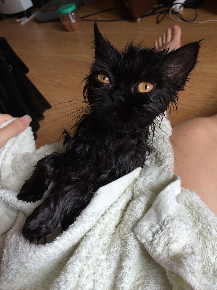 Before And After =))