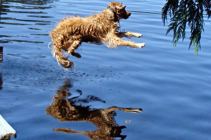 A Day At The Lake? Yes Please!