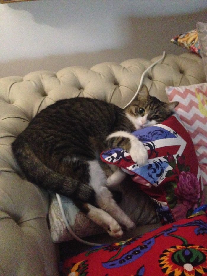 This One Is Also Mine