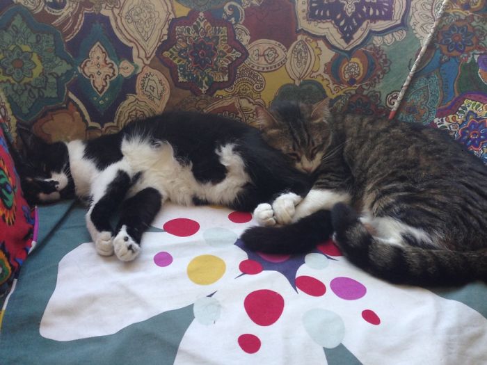 Lining Up For The Show