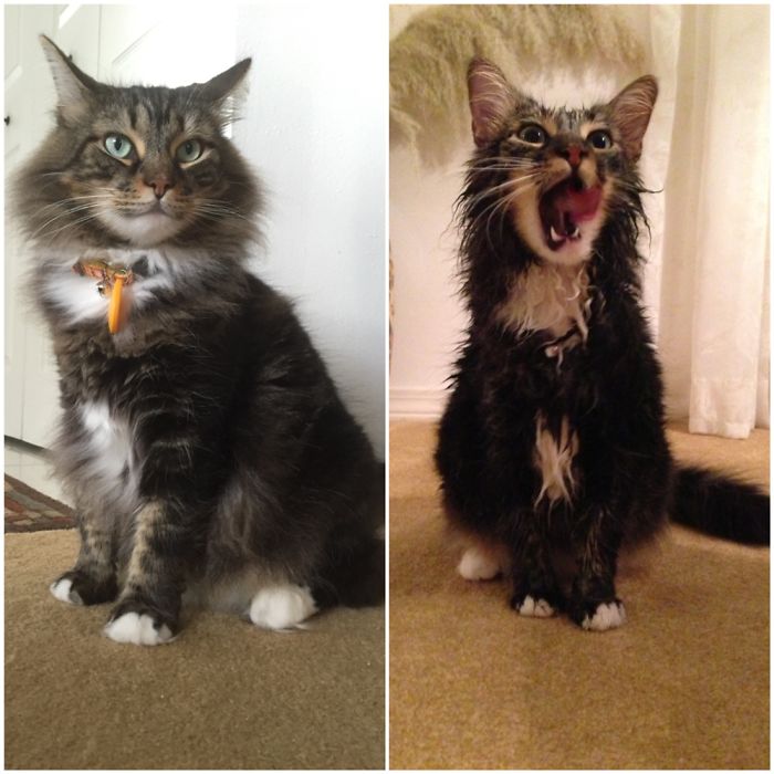 Before Vs After Bath