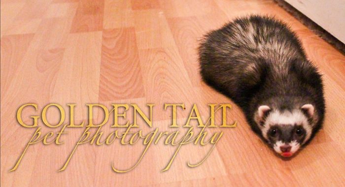 Silly Girl & Her Tongue!