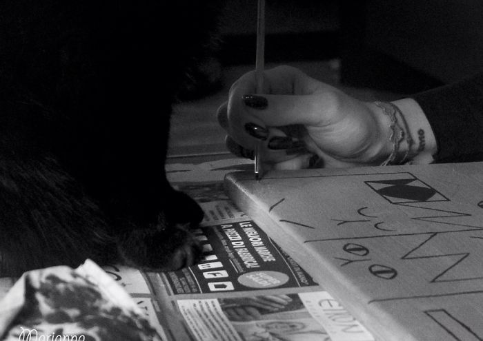 I Try To Capture The Relationship Between Cats And People I Try To Capture The Relationship Between Cats And People