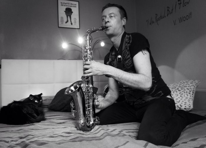 I Try To Capture The Relationship Between Cats And People I Try To Capture The Relationship Between Cats And People