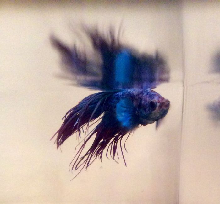 14 Year-old Photographer