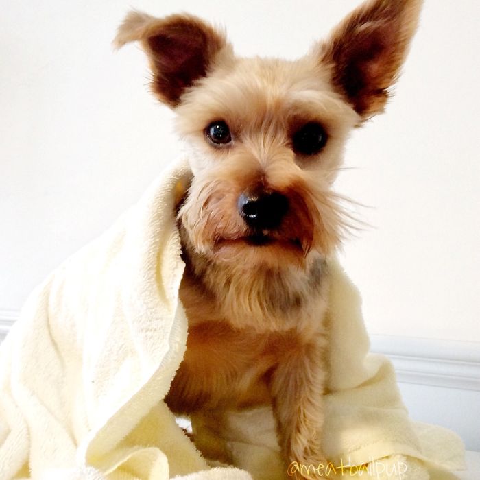 14 Year-old Photographer