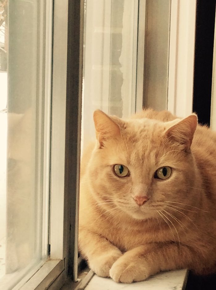 14 Year-old Photographer