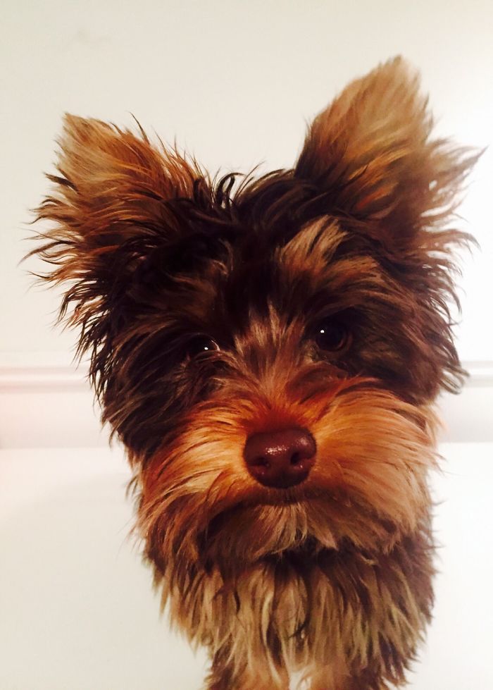 14 Year-old Photographer