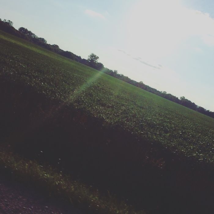 14 Year-old Photographer