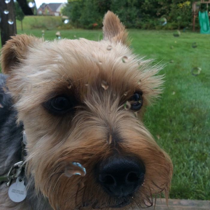 14 Year-old Photographer