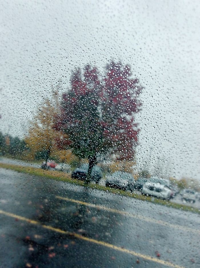 14 Year-old Photographer