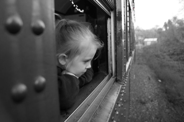 The Skunk Train At Christmas