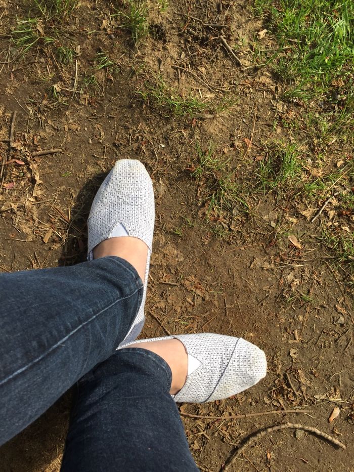 Lots Of L's On My Crossword Toms