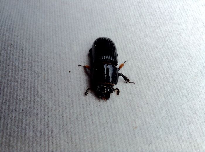 I Am 10 Years Old, And These Are Pictures That I Took