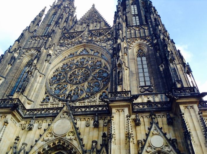 I Am 10 Years Old, And These Are Pictures That I Took